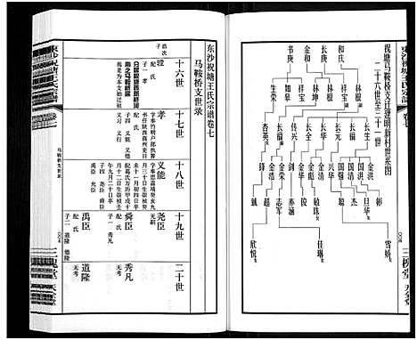 [王]东沙祝塘王氏宗谱_33卷首1卷-Dong Sha Zhu Tang Wang Shi_东沙筑塘王氏宗谱 (江苏) 东沙祝塘王氏家谱_八.pdf