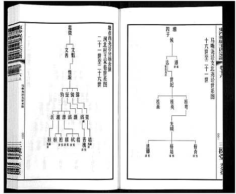 [王]东沙祝塘王氏宗谱_33卷首1卷-Dong Sha Zhu Tang Wang Shi_东沙筑塘王氏宗谱 (江苏) 东沙祝塘王氏家谱_二十.pdf