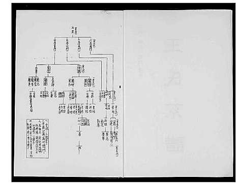 [王]王世系谱 (江苏) 王世系谱.pdf