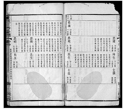 [王]王氏三沙全谱_16卷首1卷 (江苏) 王氏三沙全谱_十一.pdf