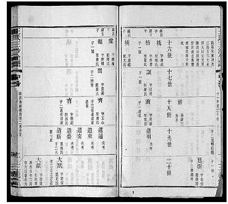 [王]王氏三沙全谱_16卷首1卷 (江苏) 王氏三沙全谱_十三.pdf