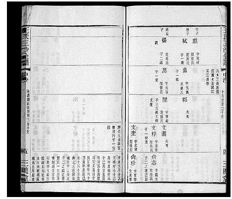 [王]王氏三沙全谱_16卷首1卷 (江苏) 王氏三沙全谱_十四.pdf