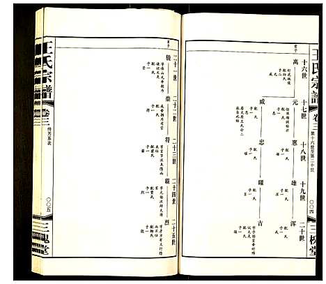 [王]王氏宗谱 (江苏) 王氏家谱_三.pdf