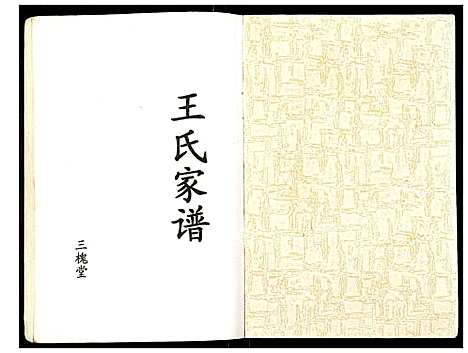 [王]王氏家谱 (江苏) 王氏家谱.pdf