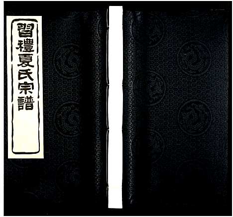 [夏]习礼夏氏宗谱_63卷首1卷 (江苏) 习礼夏氏家谱_A073.pdf