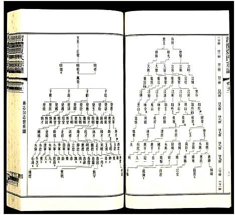 [夏]习礼夏氏宗谱_63卷首1卷 (江苏) 习礼夏氏家谱_A097.pdf