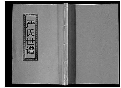 [严]严氏家谱_不分卷 (江苏) 严氏家谱.pdf