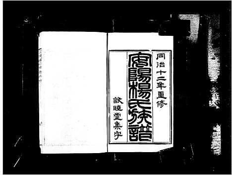 [杨]安阳杨氏族谱_24卷 (江苏) 安阳杨氏家谱_一.pdf