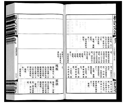 [杨]杨氏宗谱 (江苏) 杨氏家谱_九.pdf