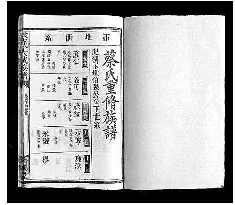 [蔡]蔡氏大成族谱 (江西) 蔡氏大成家谱_十二.pdf