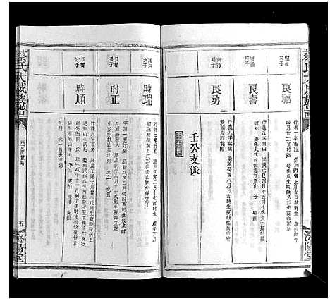 [蔡]蔡氏大成族谱 (江西) 蔡氏大成家谱_十三.pdf