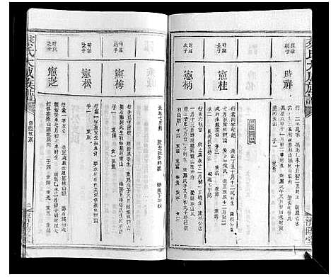 [蔡]蔡氏大成族谱 (江西) 蔡氏大成家谱_十六.pdf