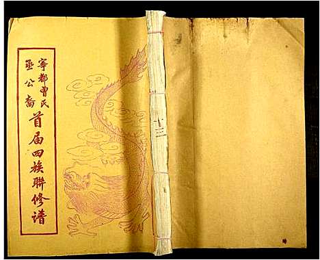 [曾]宁都曾氏丞公裔首届四族联修谱_不分卷-Ning Du Zeng Shi Cheng Gong Yi Shou Jie Si Zu Lian Xiu Pu (江西) 宁都曾氏丞公裔首届四家联修谱_十三.pdf