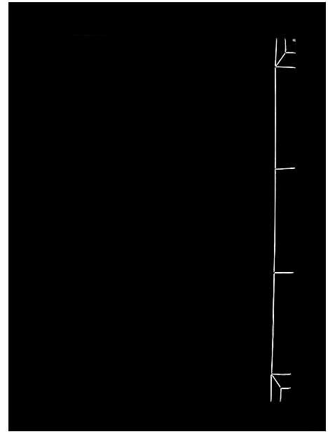 [曾]曾氏重修族谱_不标卷数-Zeng Shi Chongxiu (江西) 曾氏重修家谱_二十三.pdf