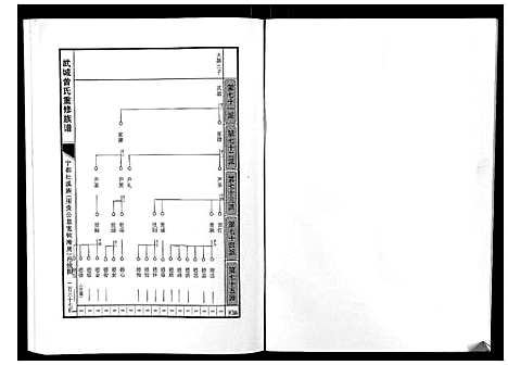 [曾]武城曾氏重修族谱 (江西) 武城曾氏重修家谱_九.pdf