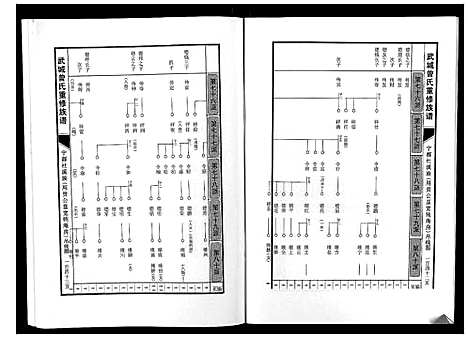 [曾]武城曾氏重修族谱 (江西) 武城曾氏重修家谱_九.pdf