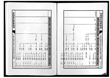 [曾]武城曾氏重修族谱 (江西) 武城曾氏重修家谱_十一.pdf