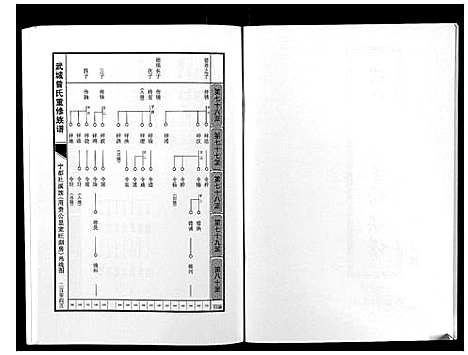 [曾]武城曾氏重修族谱 (江西) 武城曾氏重修家谱_十二.pdf