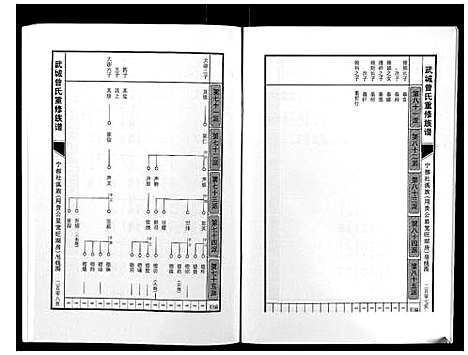 [曾]武城曾氏重修族谱 (江西) 武城曾氏重修家谱_十二.pdf