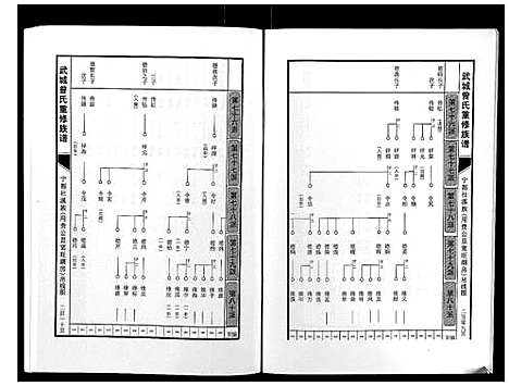 [曾]武城曾氏重修族谱 (江西) 武城曾氏重修家谱_十二.pdf