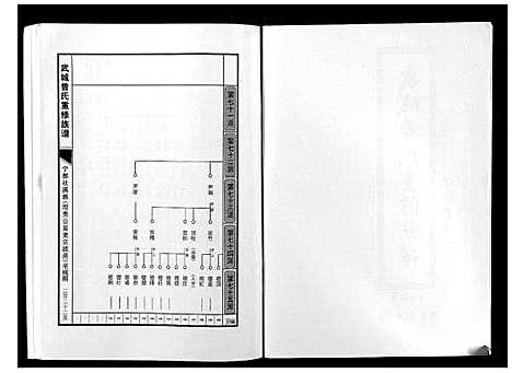 [曾]武城曾氏重修族谱 (江西) 武城曾氏重修家谱_十三.pdf