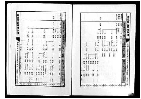 [曾]武城曾氏重修族谱 (江西) 武城曾氏重修家谱_十三.pdf