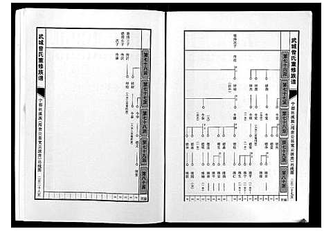 [曾]武城曾氏重修族谱 (江西) 武城曾氏重修家谱_十三.pdf