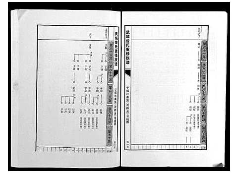 [曾]武城曾氏重修族谱 (江西) 武城曾氏重修家谱_二十七.pdf