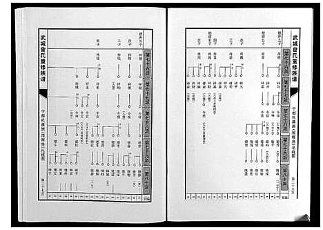 [曾]武城曾氏重修族谱 (江西) 武城曾氏重修家谱_二十八.pdf