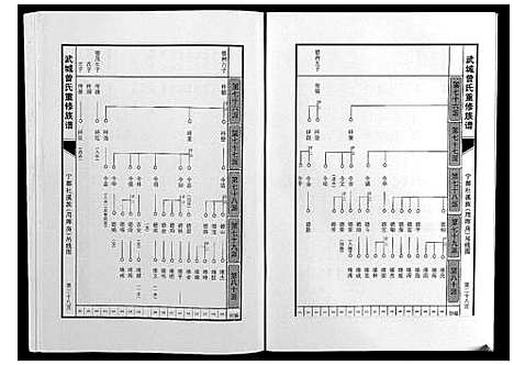 [曾]武城曾氏重修族谱 (江西) 武城曾氏重修家谱_二十八.pdf