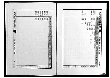 [曾]武城曾氏重修族谱 (江西) 武城曾氏重修家谱_二十八.pdf