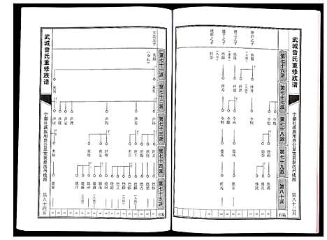 [曾]武城曾氏重修族谱 (江西) 武城曾氏重修家谱_六.pdf