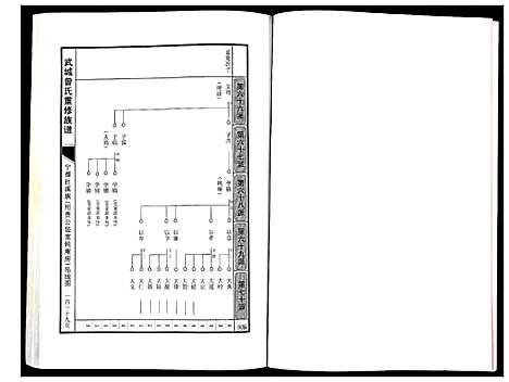 [曾]武城曾氏重修族谱 (江西) 武城曾氏重修家谱_八.pdf