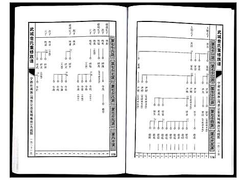 [曾]武城曾氏重修族谱 (江西) 武城曾氏重修家谱_八.pdf