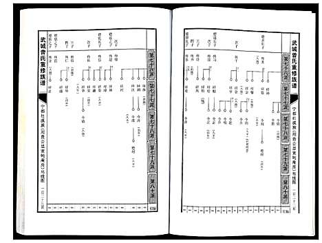 [曾]武城曾氏重修族谱 (江西) 武城曾氏重修家谱_八.pdf