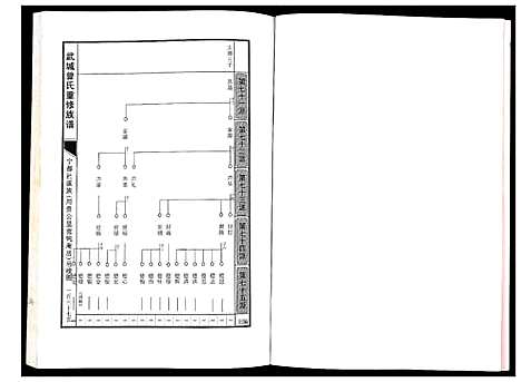 [曾]武城曾氏重修族谱 (江西) 武城曾氏重修家谱_九.pdf