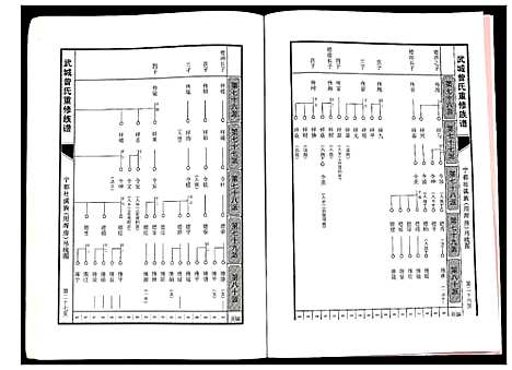 [曾]武城曾氏重修族谱 (江西) 武城曾氏重修家谱_二十八.pdf