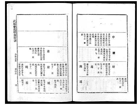 [曾]武城曾氏重修族谱_不分卷 (江西) 武城曾氏重修家谱_四.pdf