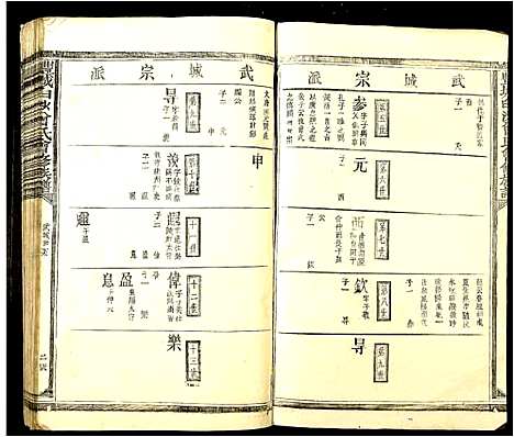 [曾]丰城曾氏白沙会修族谱 (江西) 丰城曾氏白沙会修家谱_二.pdf