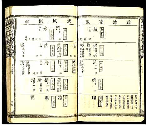 [曾]丰城曾氏白沙会修族谱 (江西) 丰城曾氏白沙会修家谱_二.pdf