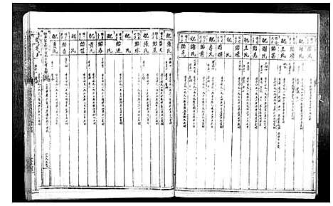 [陈]信丰陈嘉会公派下七修玉碟_不分卷 (江西) 信丰陈嘉会公派下七修玉碟_八.pdf