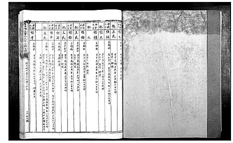 [陈]信丰陈嘉会公派下七修玉碟_不分卷 (江西) 信丰陈嘉会公派下七修玉碟_十.pdf