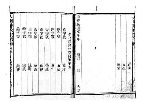 [陈]大园陈氏宗谱 (江西) 大园陈氏家谱_三.pdf