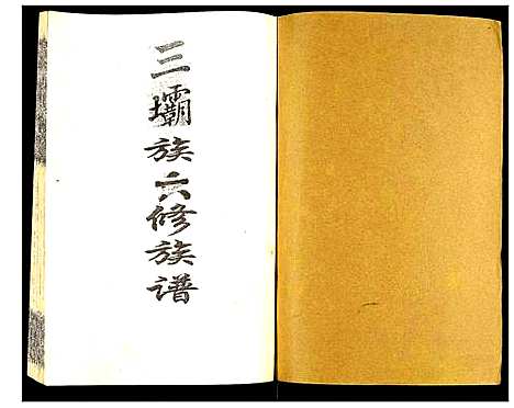 [陈]瑞金颖川陈氏首次联修族谱 (江西) 瑞金颖川陈氏首次联修家谱_六.pdf