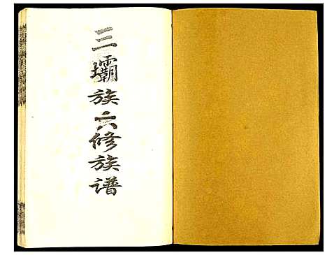 [陈]瑞金颖川陈氏首次联修族谱 (江西) 瑞金颖川陈氏首次联修家谱_十.pdf