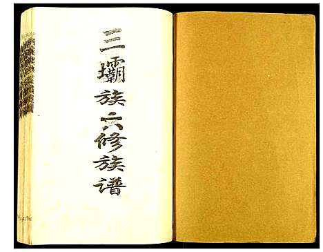 [陈]瑞金颖川陈氏首次联修族谱 (江西) 瑞金颖川陈氏首次联修家谱_十四.pdf