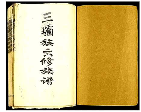 [陈]瑞金颖川陈氏首次联修族谱 (江西) 瑞金颖川陈氏首次联修家谱_十六.pdf