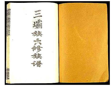 [陈]瑞金颖川陈氏首次联修族谱 (江西) 瑞金颖川陈氏首次联修家谱_十七.pdf