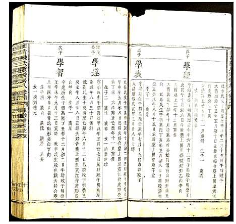 [陈]田背陈氏秉俊房八修谱 (江西) 田背陈氏秉俊房八修谱.pdf