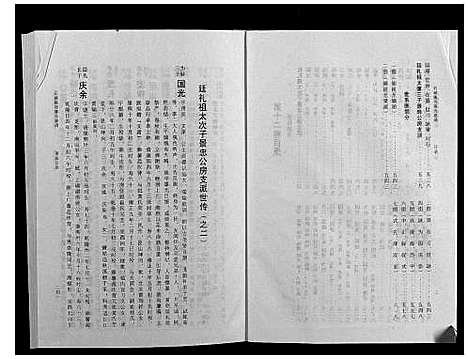 [陈]石城陈坊陈氏族谱 (江西) 石城陈坊陈氏家谱_九.pdf